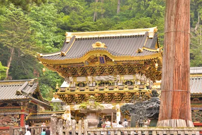 DSC_3860 (Large).JPG